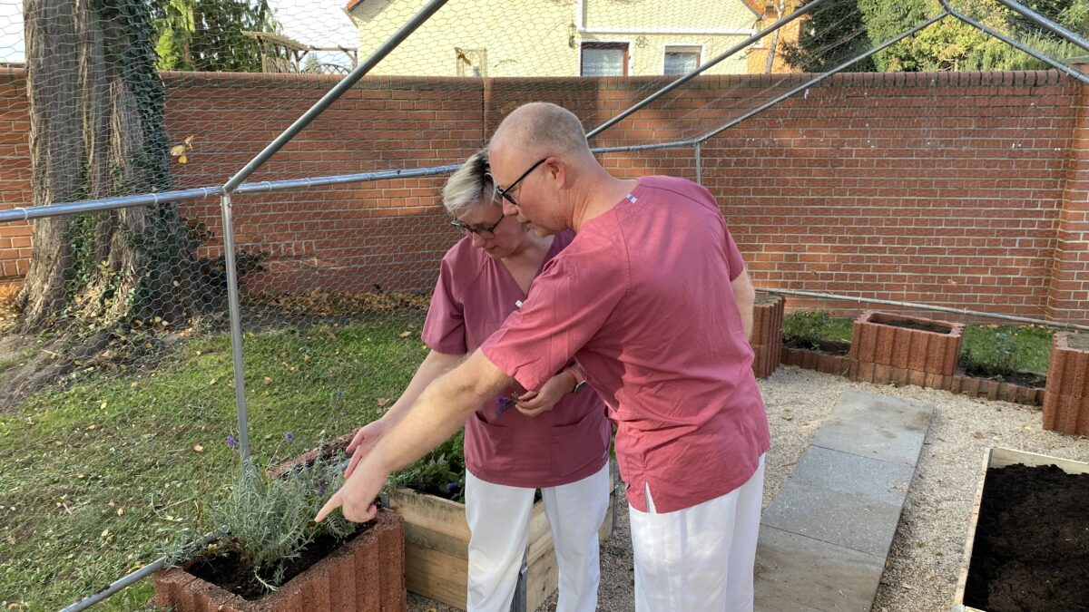 Ein Duft- und Kräutergarten entsteht am Saale-Krankenhaus in Calbe